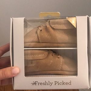 Brand New Never Worn Freshly Picked Oxford Shoe